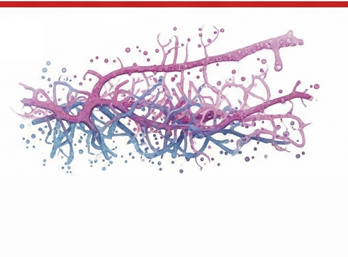 نتایج «هیجان‌انگیز» تست خون جدید سرطان، یه مشکل نگران‌کننده رو قایم کرده